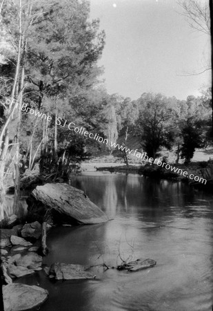 THE OPHIR CREEK WHERE GOLD WAS FIRST FOUND